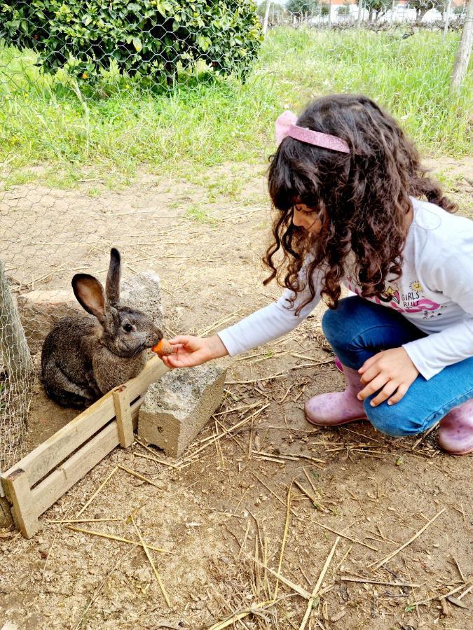 Quinta Do Quartel Villa Évora Eksteriør billede